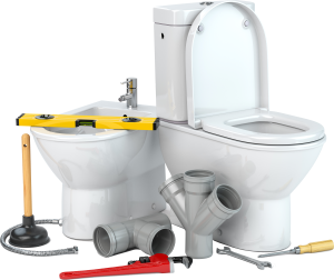 Domestic_Icon (300px W)